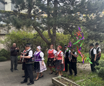 Kultúrno-spoločenské a športové aktivity / Mestská časť Košice-Dargovských hrdinov sa zapojila do viacerých aktivít počas osláv Dňa mesta Košice  - foto