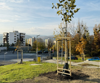 Aktuality / Revitalizácia zelene prináša zelenší a krajší park - foto