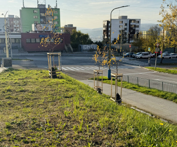 Aktuality / Revitalizácia zelene prináša zelenší a krajší park - foto