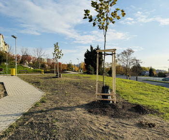 Aktuality / Revitalizácia zelene prináša zelenší a krajší park - foto